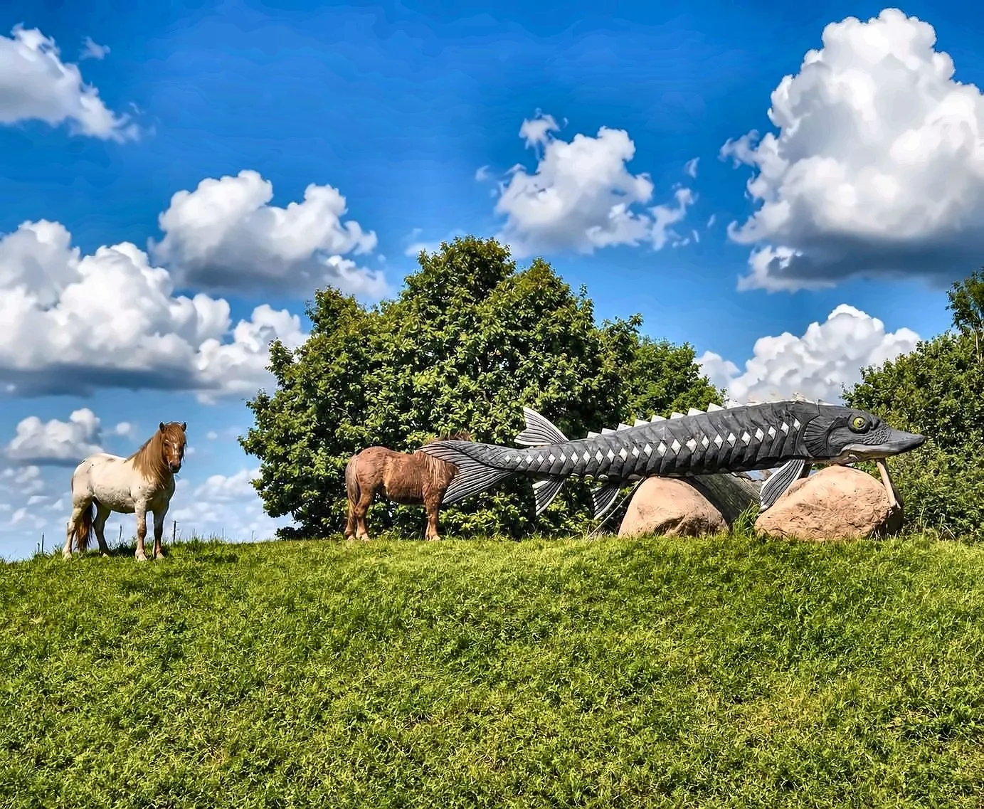 Eršketo skulptūra — Green Valley Molėtai