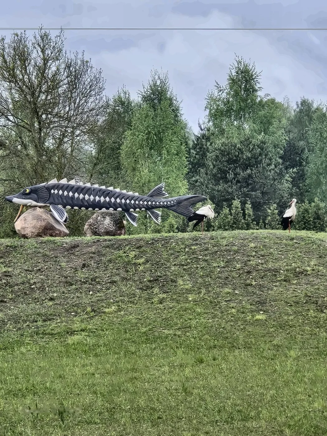 Eršketo skulptūra — Green Valley Molėtai