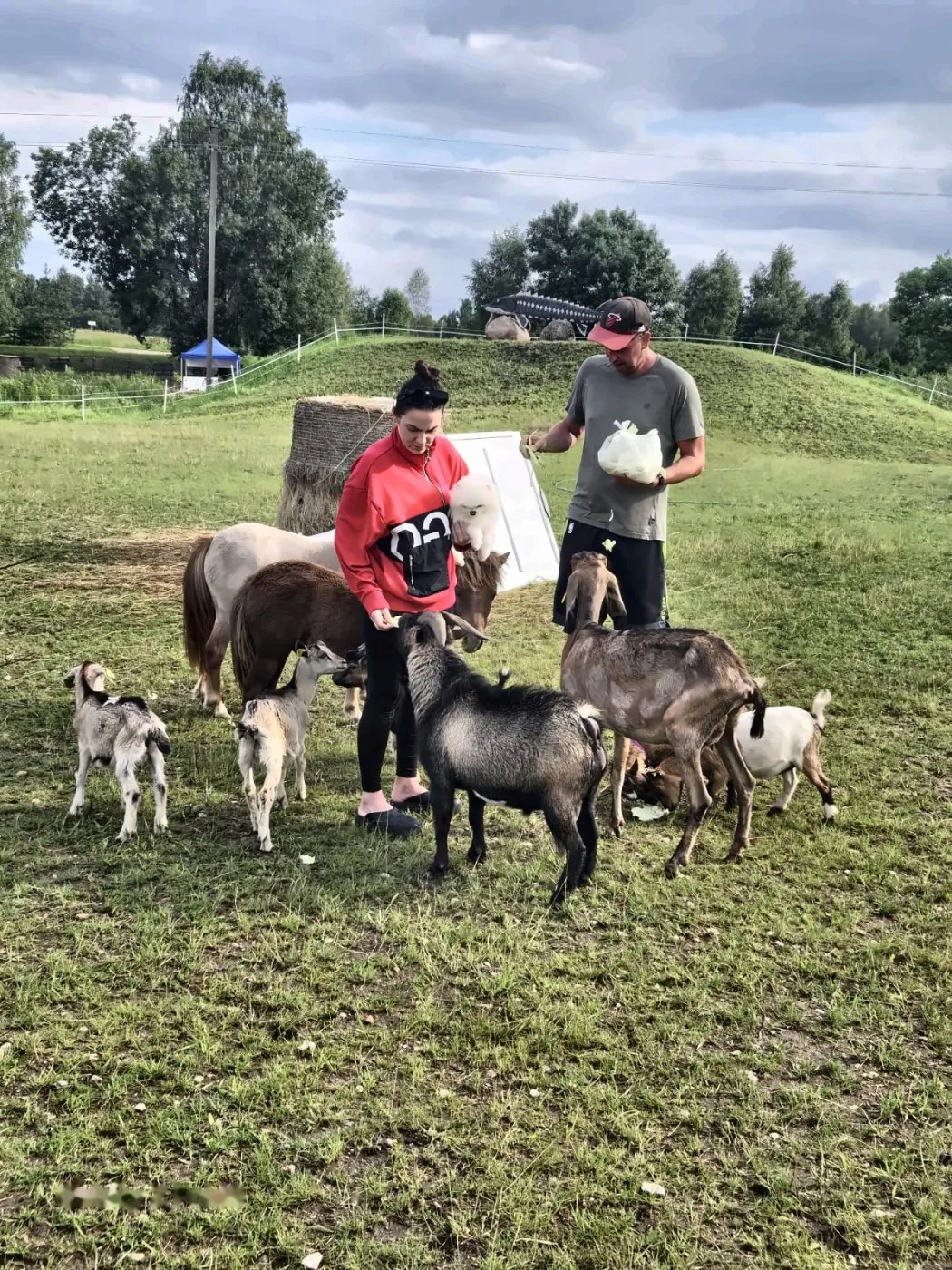 Gyvūnėlių maitinimas — Green Valley Molėtai
