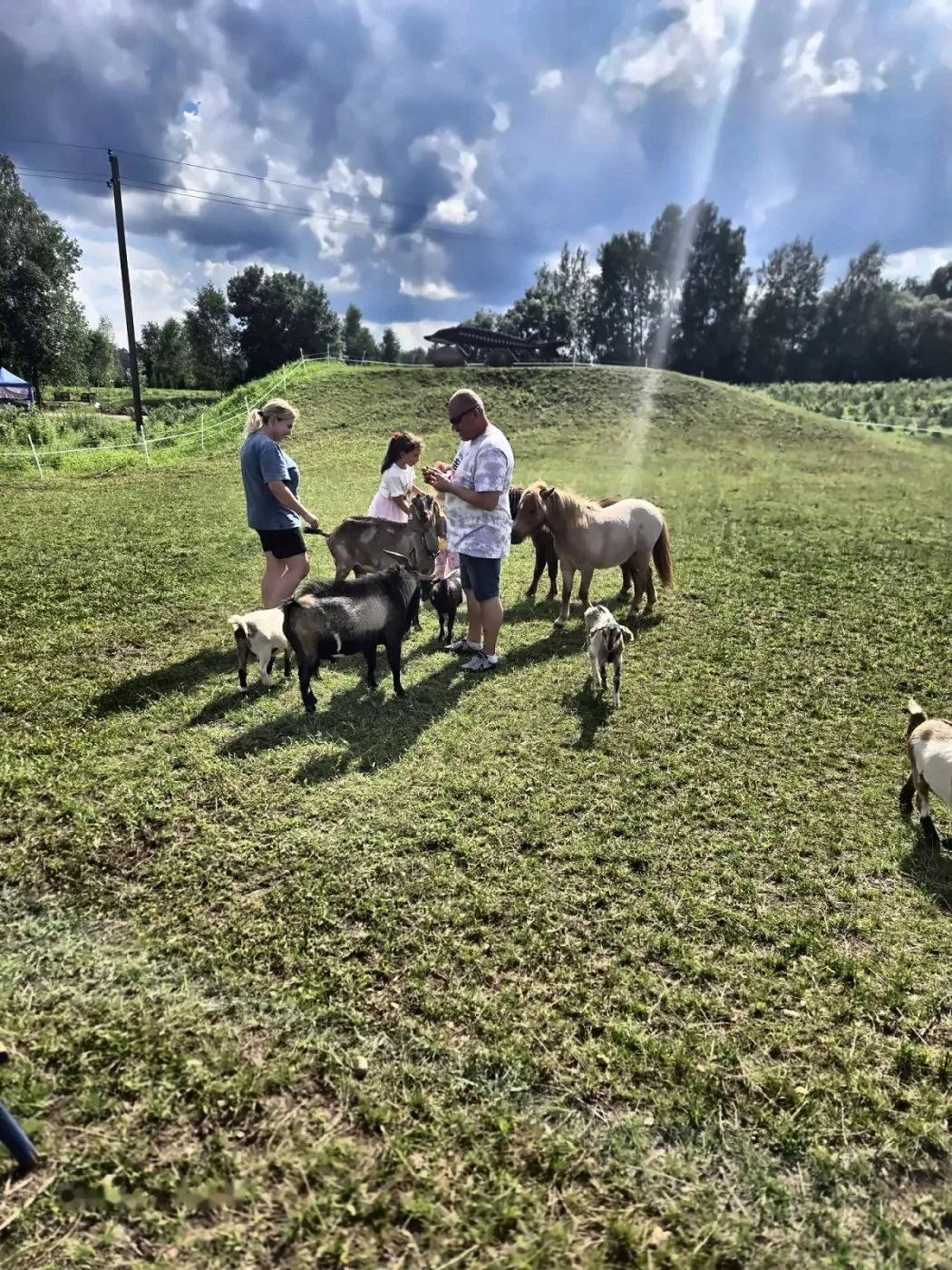 Gyvūnėlių maitinimas — Green Valley Molėtai
