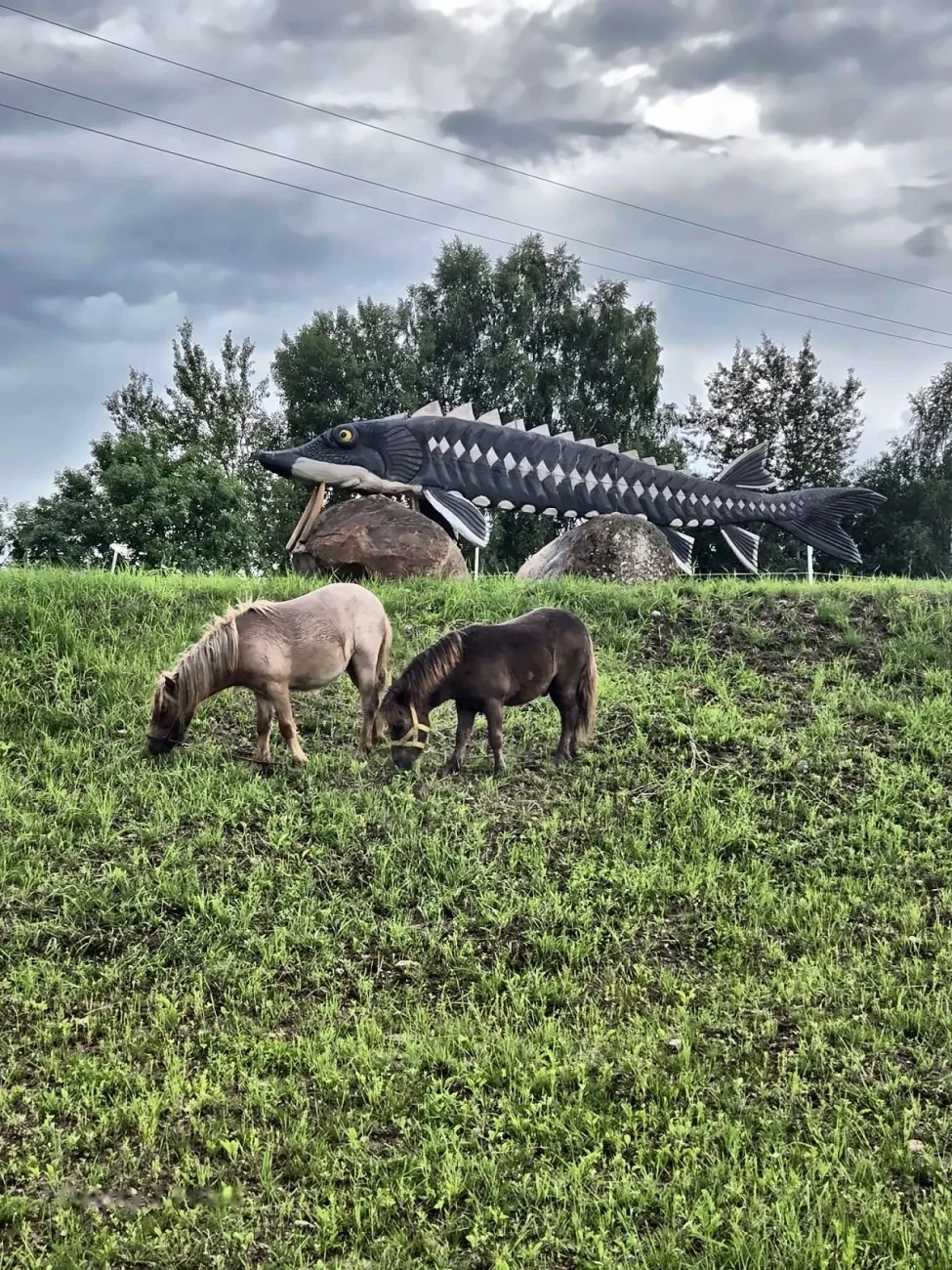Poniai — Green Valley Molėtai